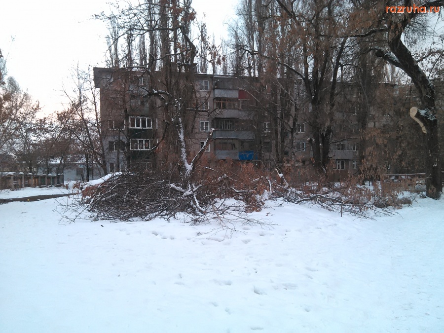 Курск - Ветки