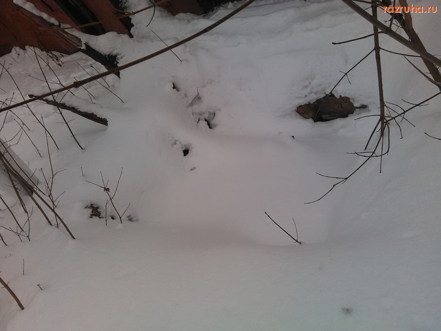 Курск - Пустырь на Можаевской