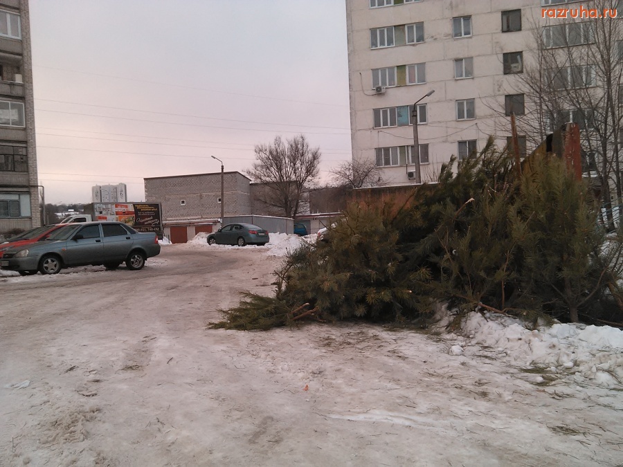 Курск - Ёлки