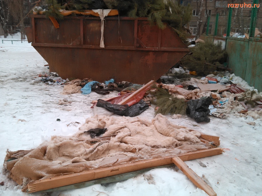 Курск - Ёлки и мусор