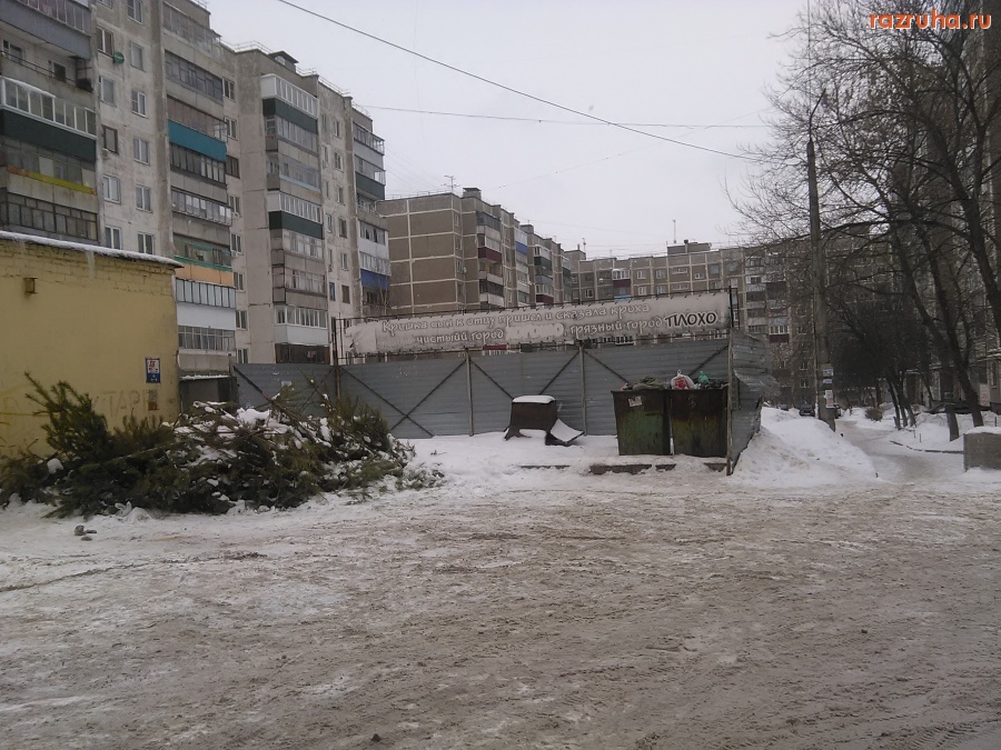 Курск - Кучка ёлок