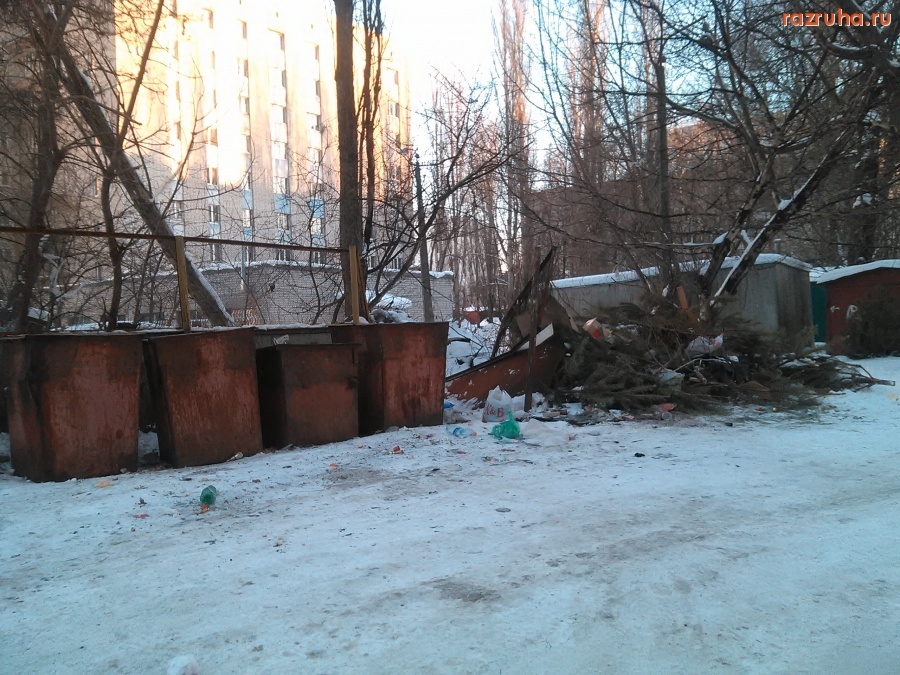 Курск - Ёлки на мусорке