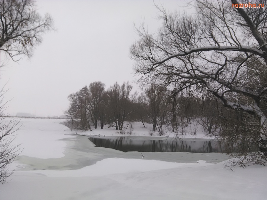 Курск - Большая полынья