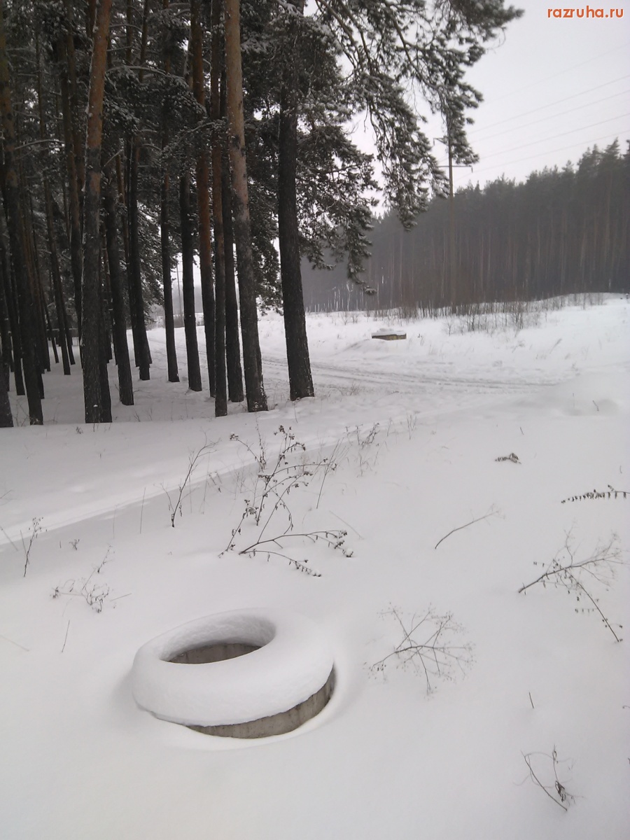 Курск - Лесной люк