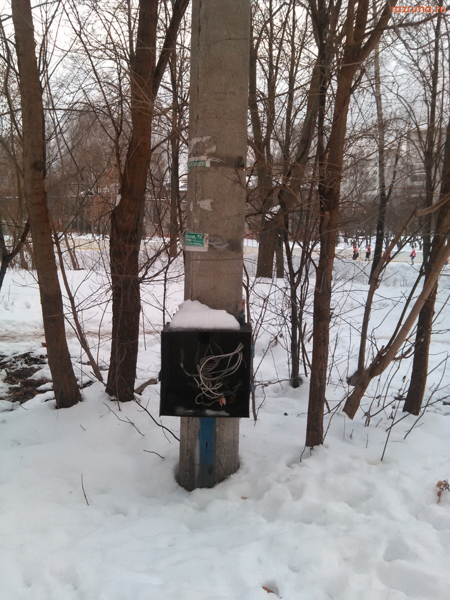 Курск - Можно потрогать проводки