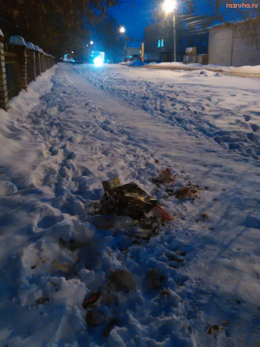 Курск - Свинство