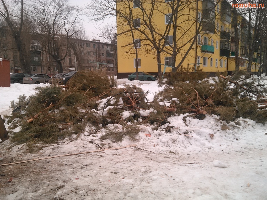 Курск - Ёлки на помойке