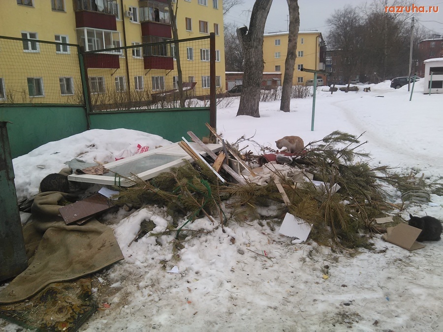 Курск - Ёлочки и кошки