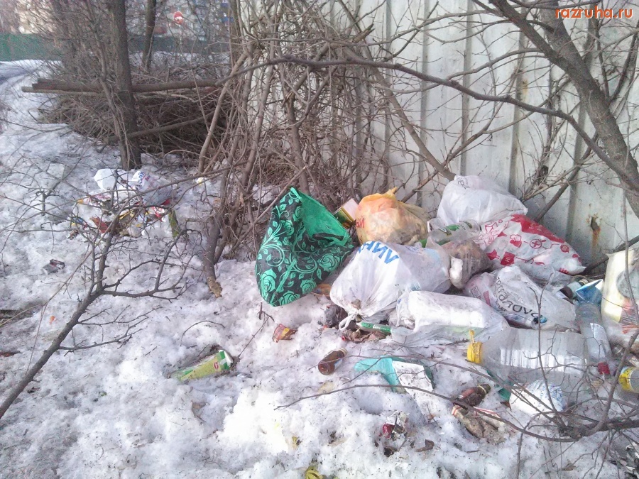 Курск - Нагадило быдло