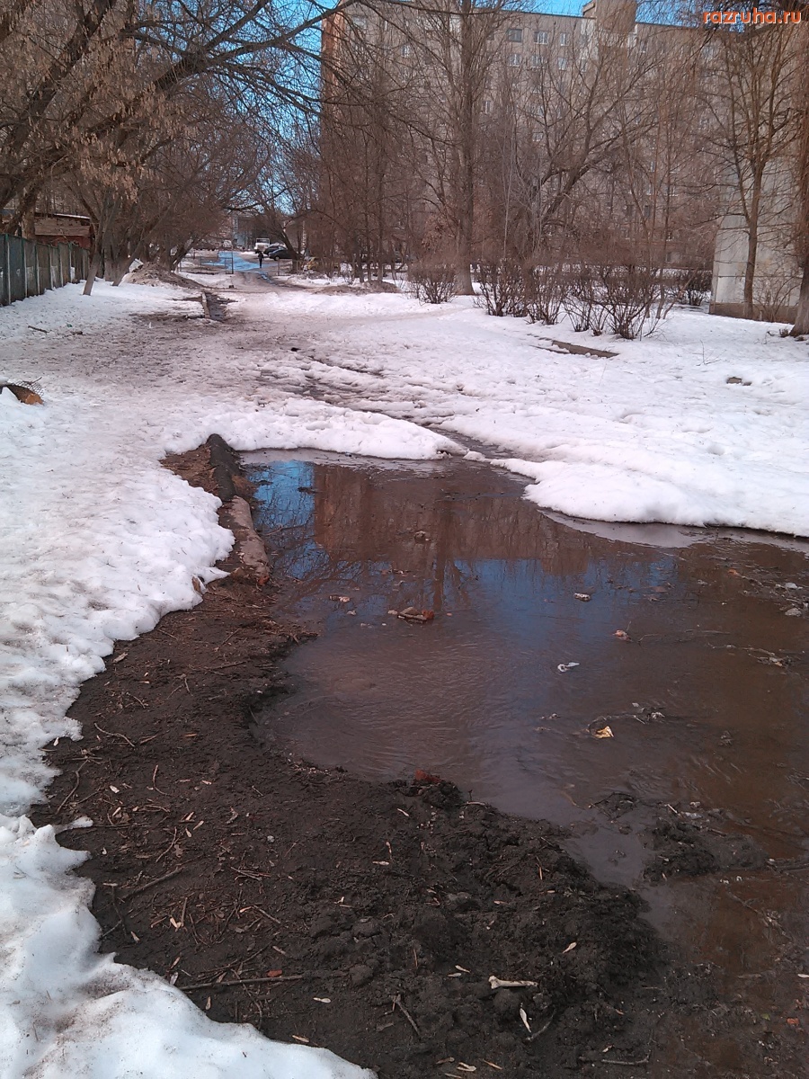 Курск - Нечистоты на школьном дворе