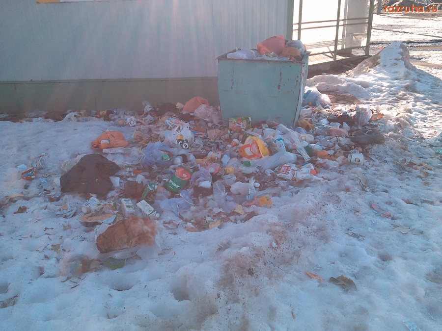 Курск - Дохлая курица и мусор