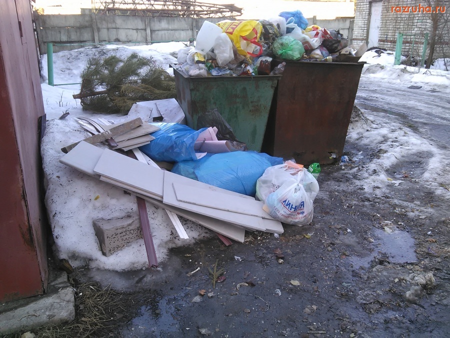 Курск - А тут куча и ёлки остались