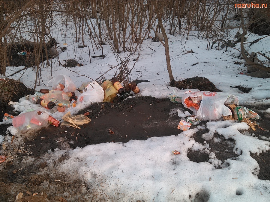 Курск - Нагадили на Мирной