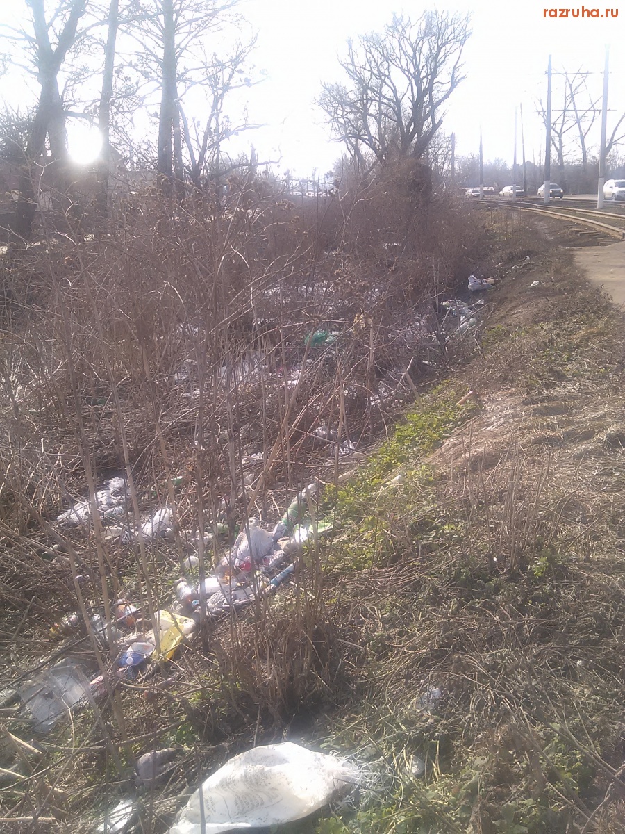 Курск - Кучка мусора