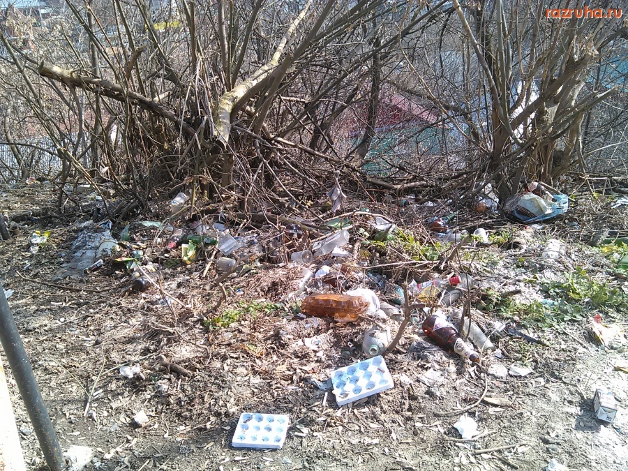 Курск - Гадят у лестницы