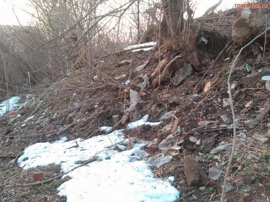 Курск - Берег