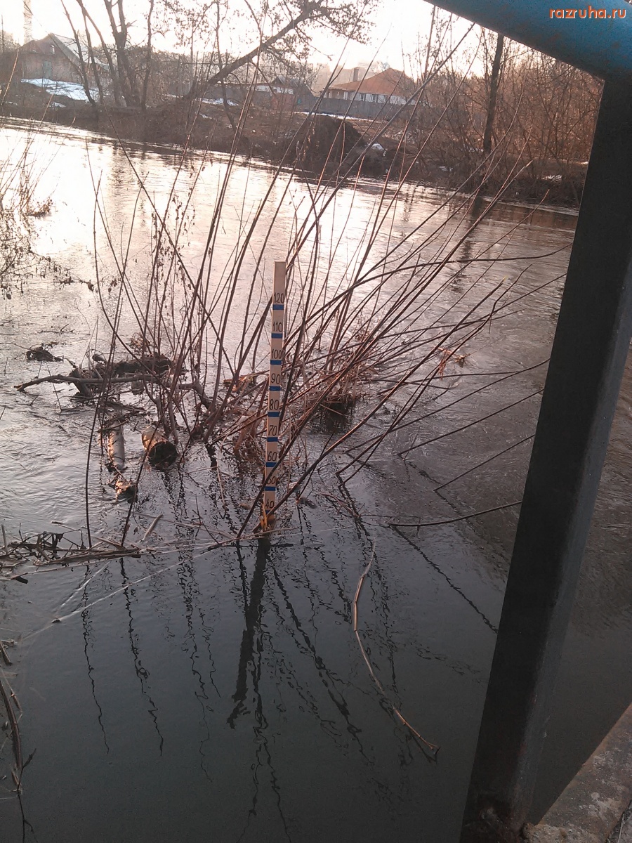 Курск - Полноводье-2017 на Тускаре