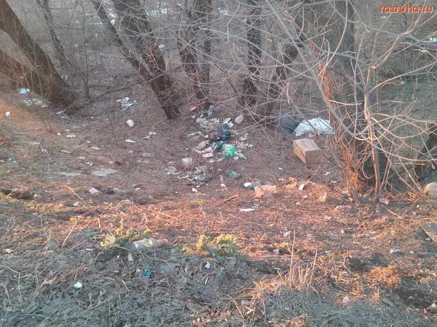 Курск - Мусор за остановкой