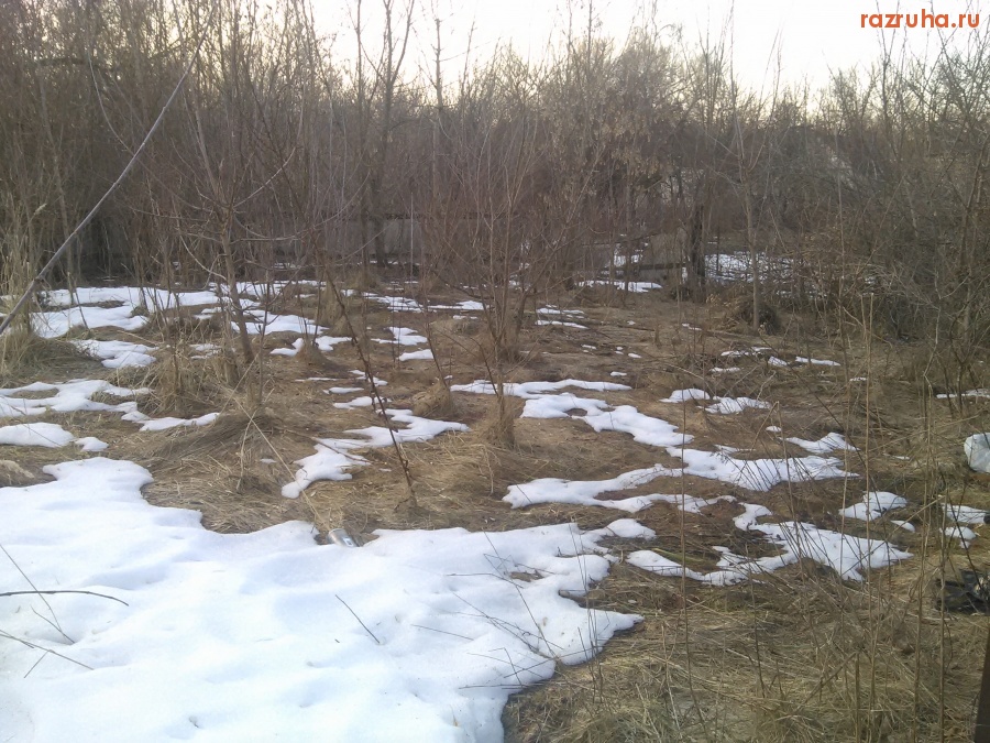 Курск - Заросший огород