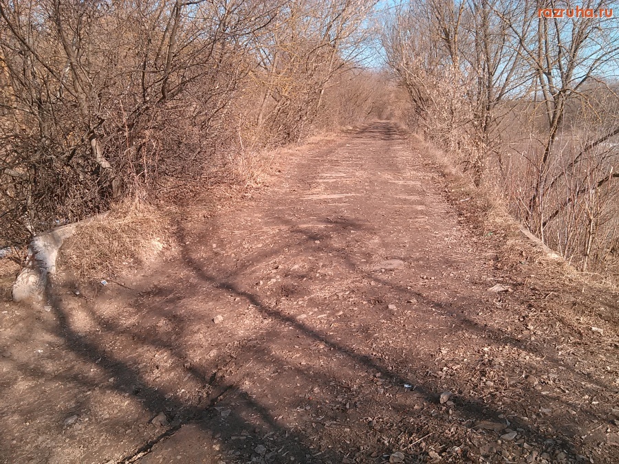 Курск - Заброшенный железнодорожный мост