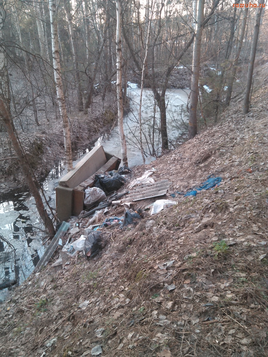 Курск - Диван в лесу