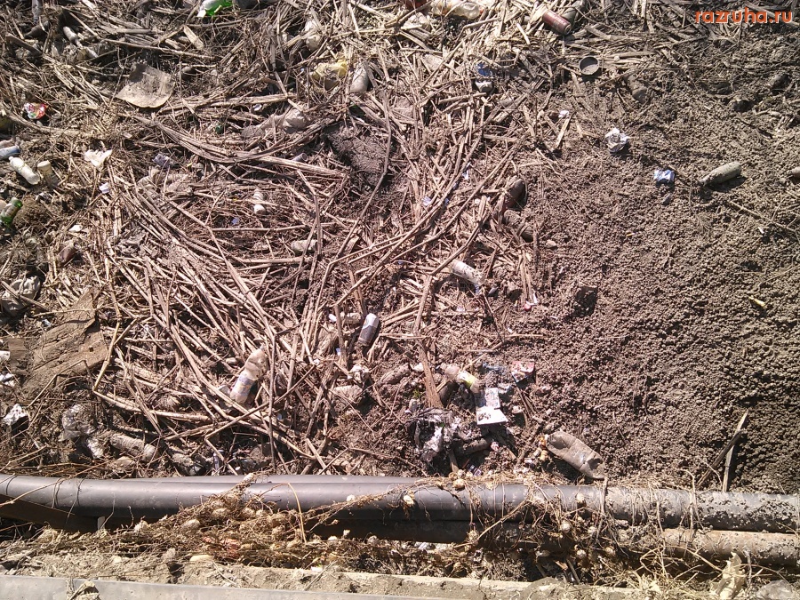 Курск - Ровец