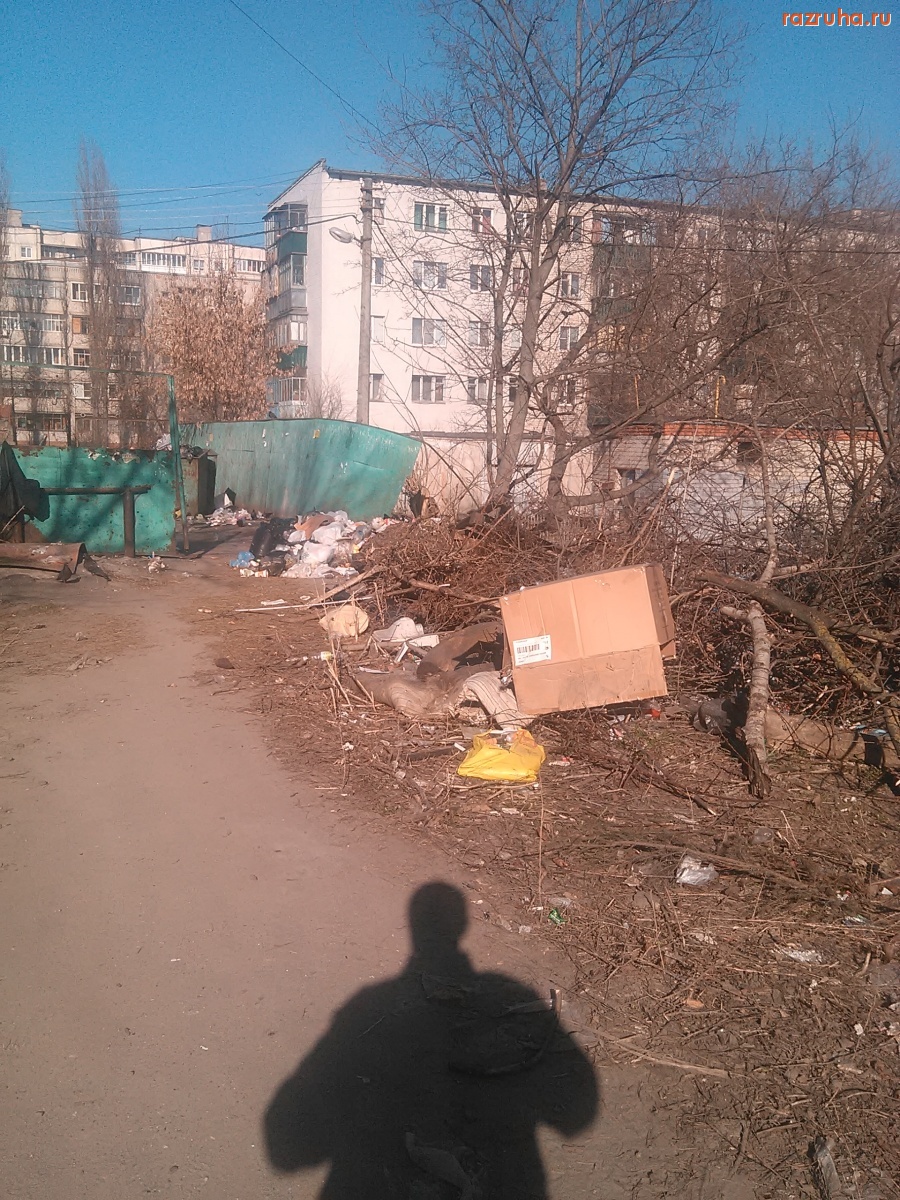 Курск - Помойка возле 3 школы