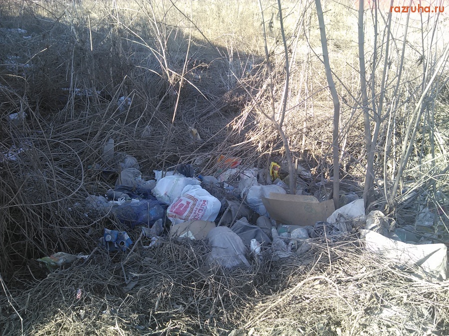 Курск - Обгаженный пустырь