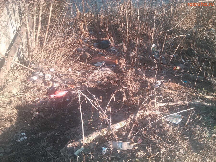 Курск - Возле остановки