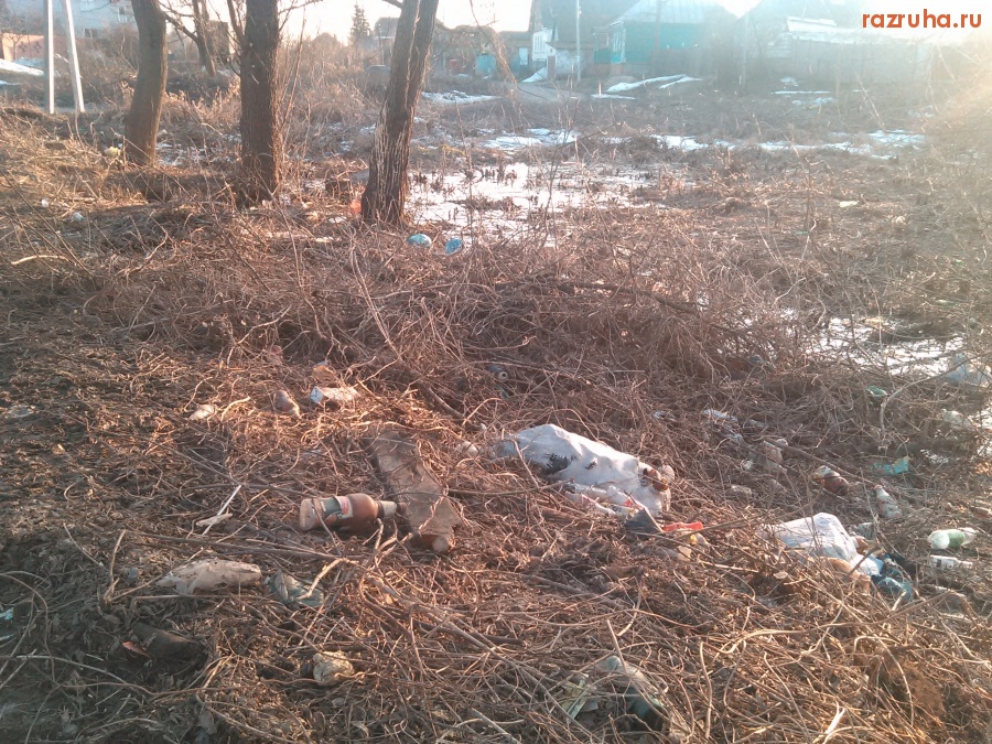 Курск - Нагадили в траву