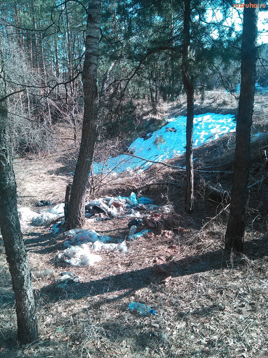 Курск - Гадят в овраге