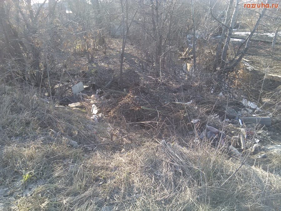 Курск - Пустырь на Литовской