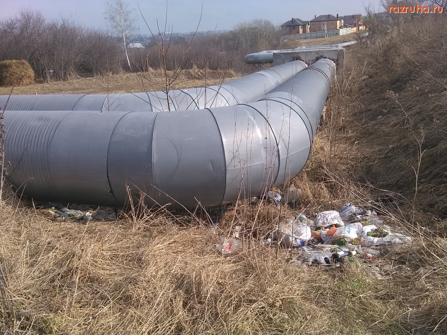 Курск - Набросали мусор