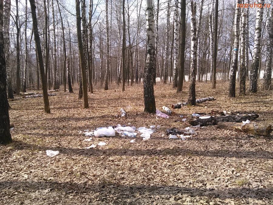 Курск - Мусор в лесу