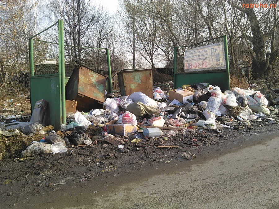 Курск - Утренняя куча