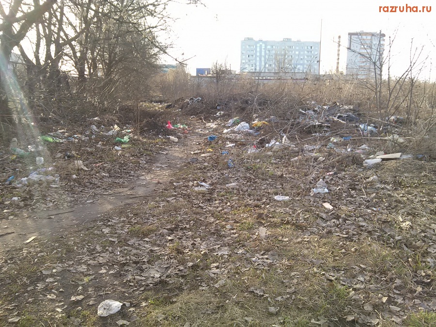 Курск - Мусорка на пустыре