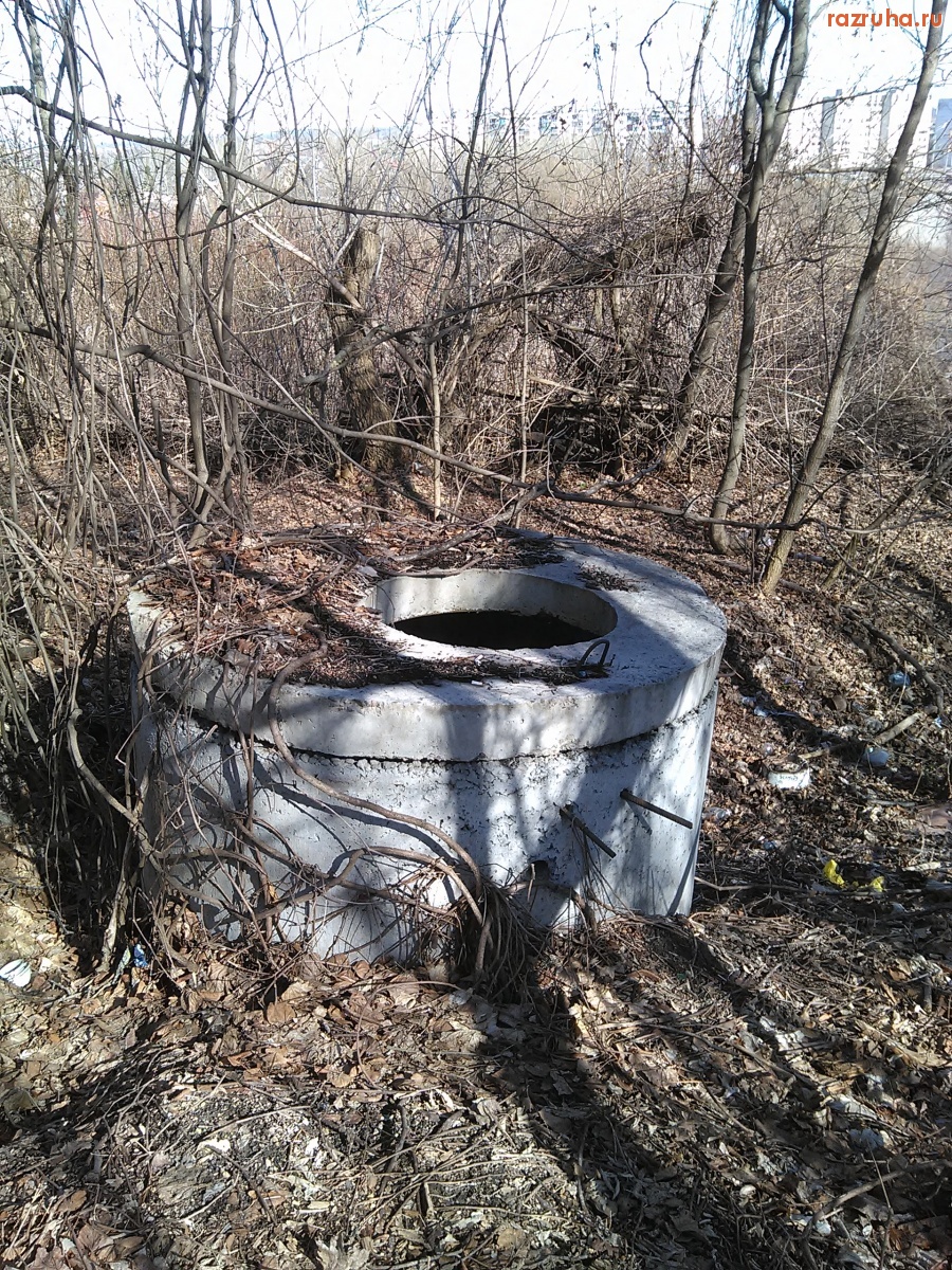 Курск - Люк в зарослях