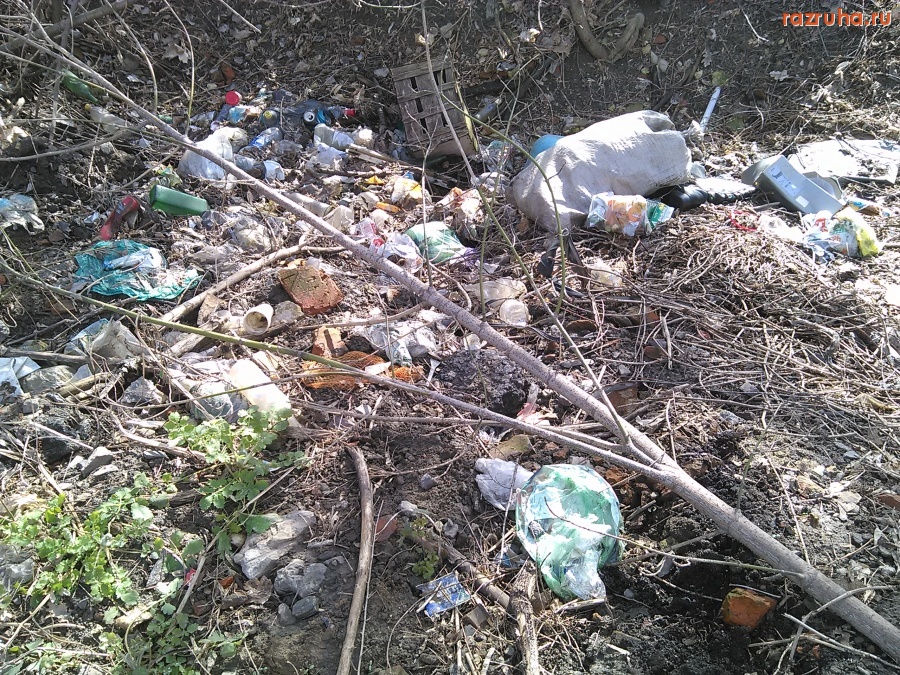 Курск - Мусор в кустах