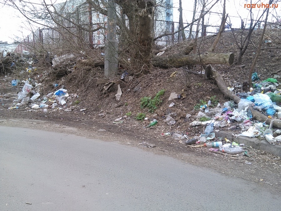 Курск - Лестницу загадили