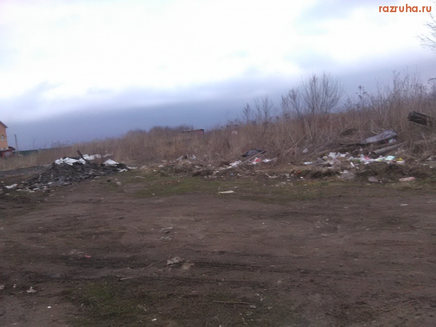 Курск - Свинство в траве