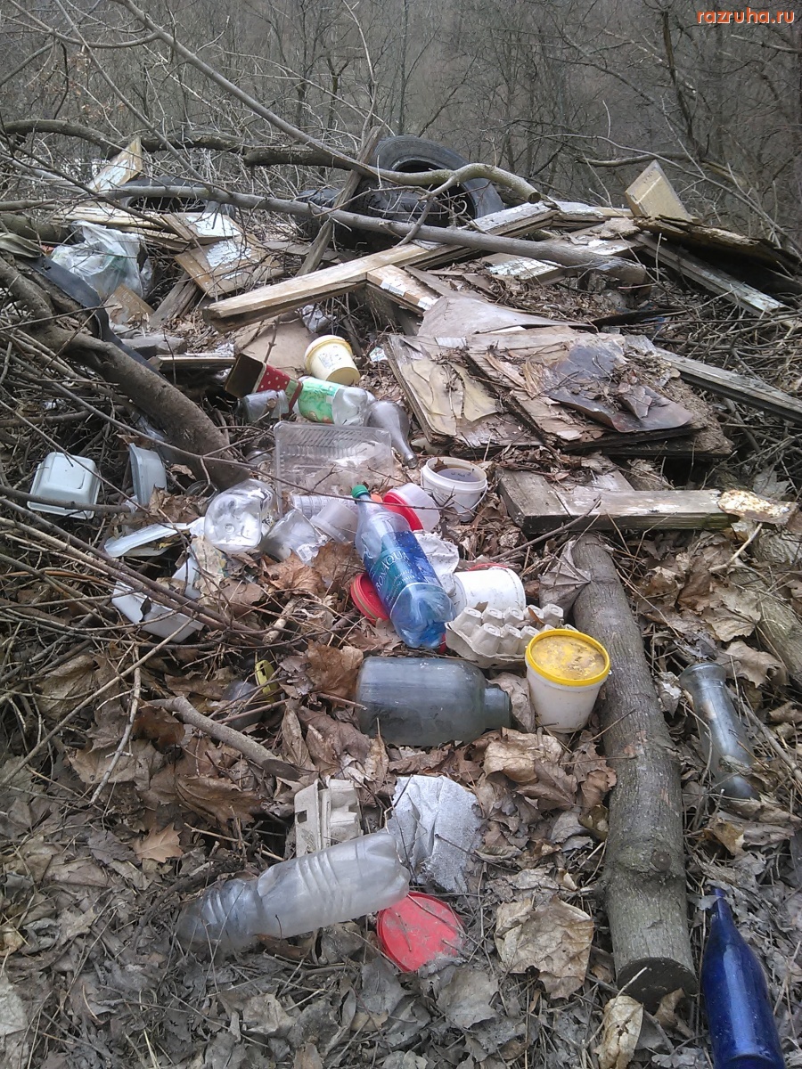 Курск - С обрыва гадят