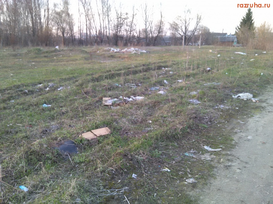 Курск - Тут всё обгадили