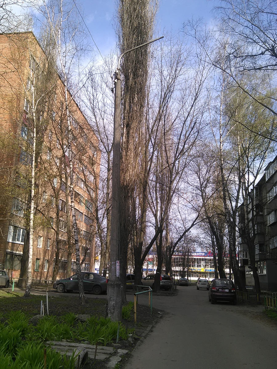 Курск - Столб без фонаря