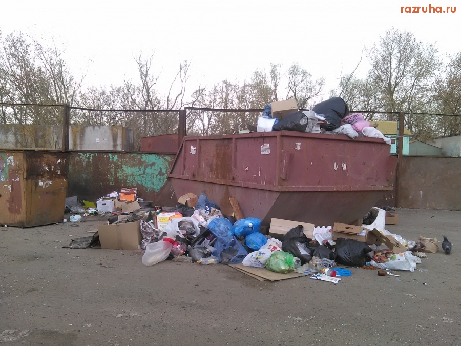 Курск - Просыпалось вокруг ящика