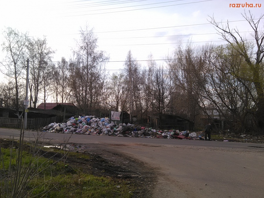 Курск - Мусор не вывозят