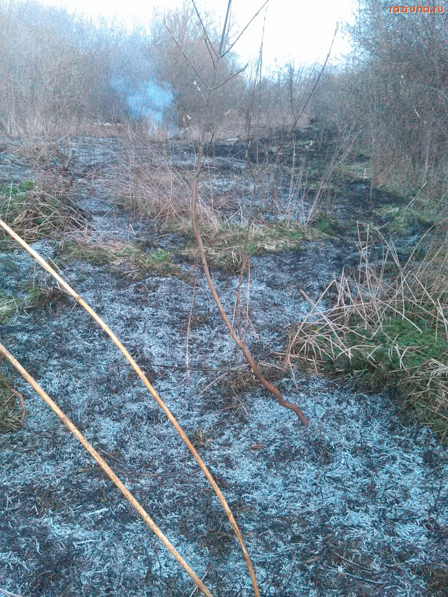 Курск - Палят траву