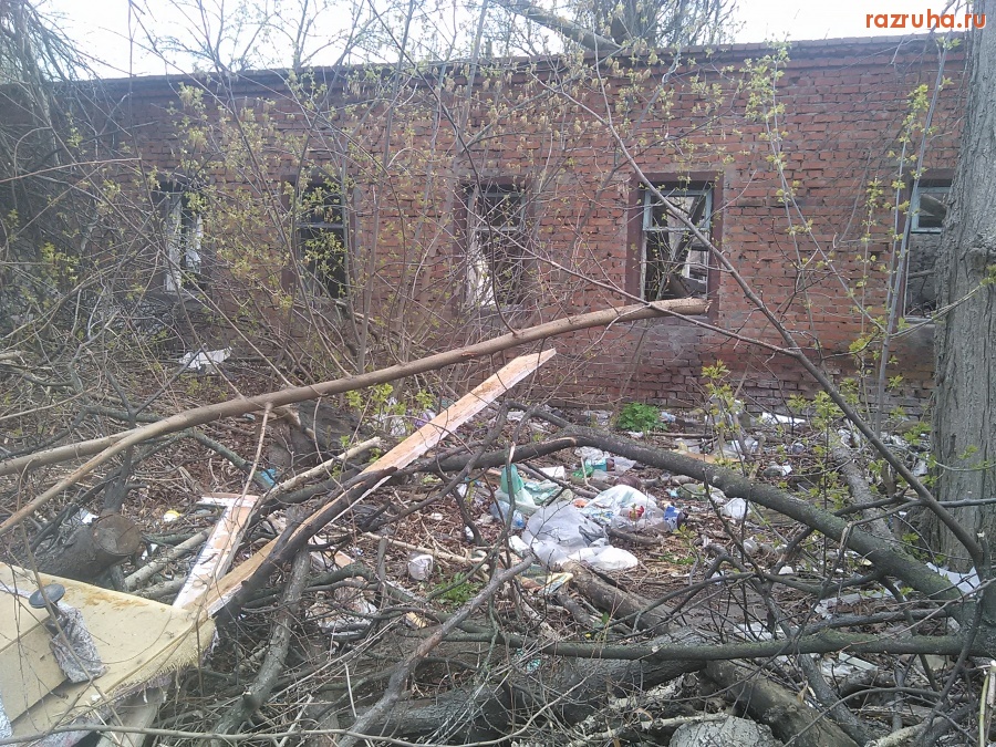 Курск - Мусорка вокруг здания