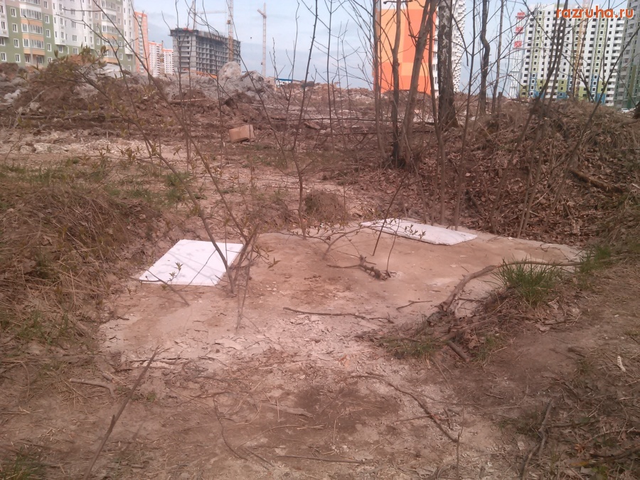 Курск - Бетонная лужа