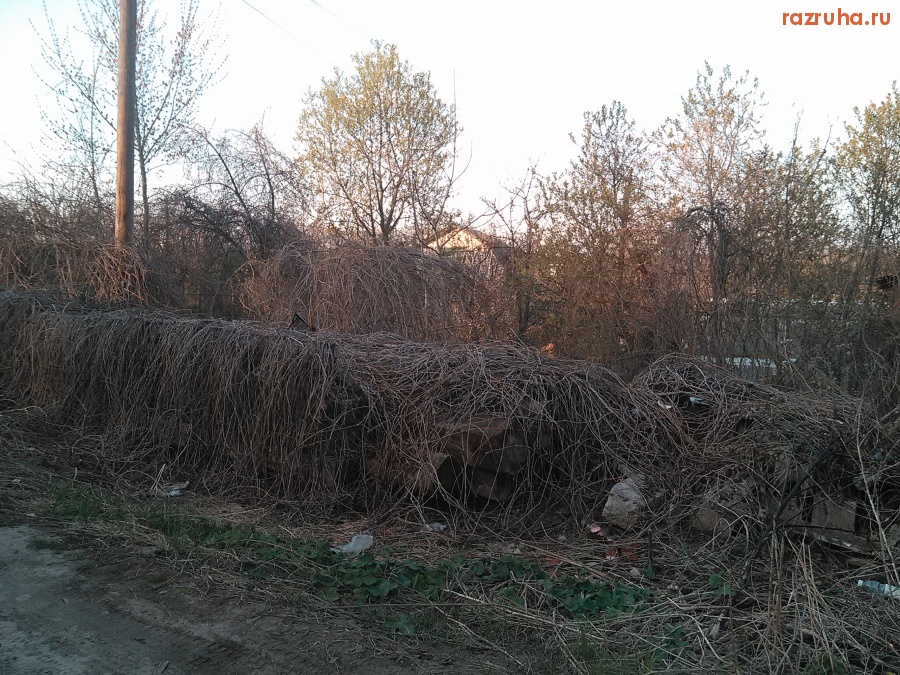 Курск - Всё обросло