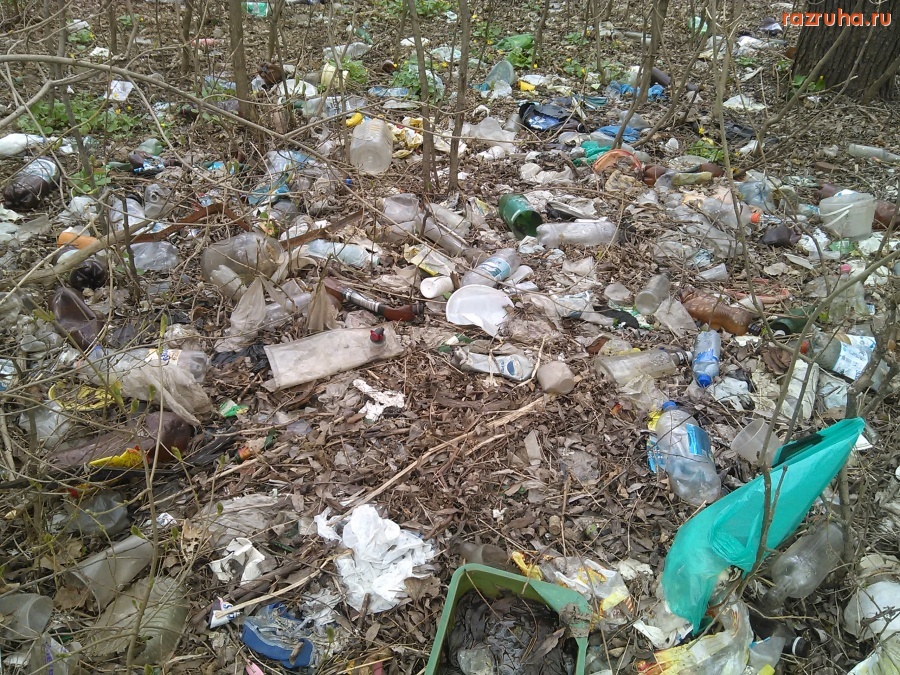 Курск - Возле пляжа